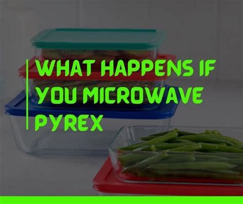 Can Glass Pyrex Go in Microwave? And Why Does My Cat Stare at It?