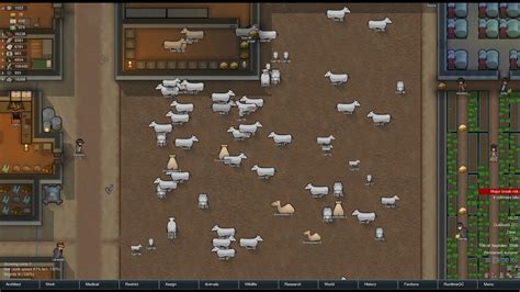 How to Feed Animals Rimworld: A Comprehensive Guide to Keeping Your Critters Happy and Healthy