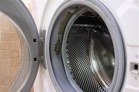 How to Get Mold Out of Washing Machine Rubber: A Comprehensive Guide