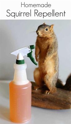 How to Make Peppermint Spray for Squirrels: A Whimsical Exploration of Nature's Oddities