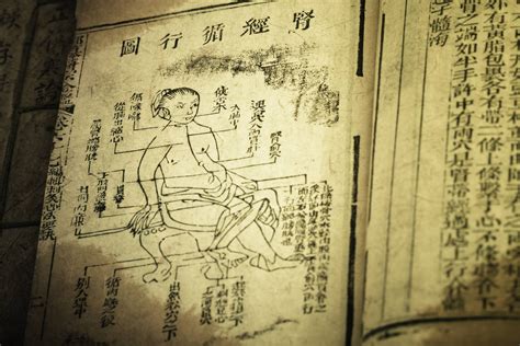  Records of the Past : An Ancient Journey into the Tapestry of Chinese Medicine