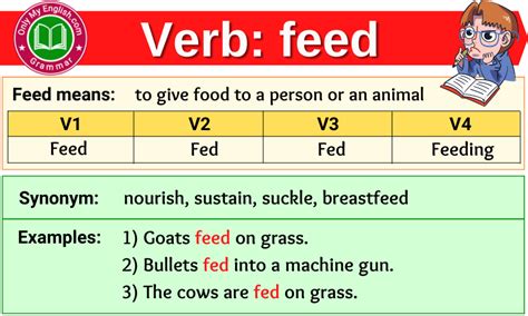 What is the Past Tense of Feed and Why Do We Feed Our Curiosity?